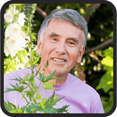 HairFortin Prosta Peak - User 3